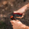 TRUE UTILITY Ti POCKET MULTI TOOL